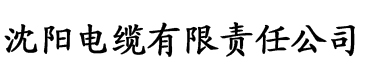 黃片小视频免费电缆厂logo